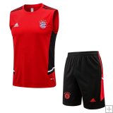 Bayern Munich Training Kit 2022/23