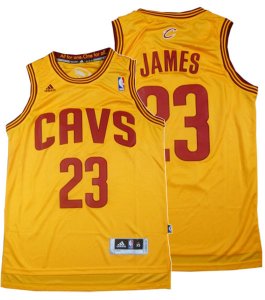 LeBron James, Cleveland Cavaliers - Alternate